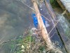 20130423913.jpg