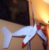 EW-50.jpg