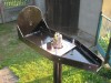 IMG_1164.JPG