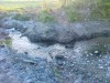 20130824955.jpg