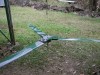 2007-12-17_220924_Balancing-1.jpg