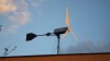 DSCF5548.JPG
