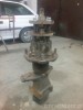 CAM01796.jpg