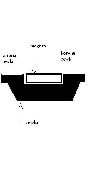 cewka i magnes.JPG
