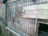 20120630706.jpg